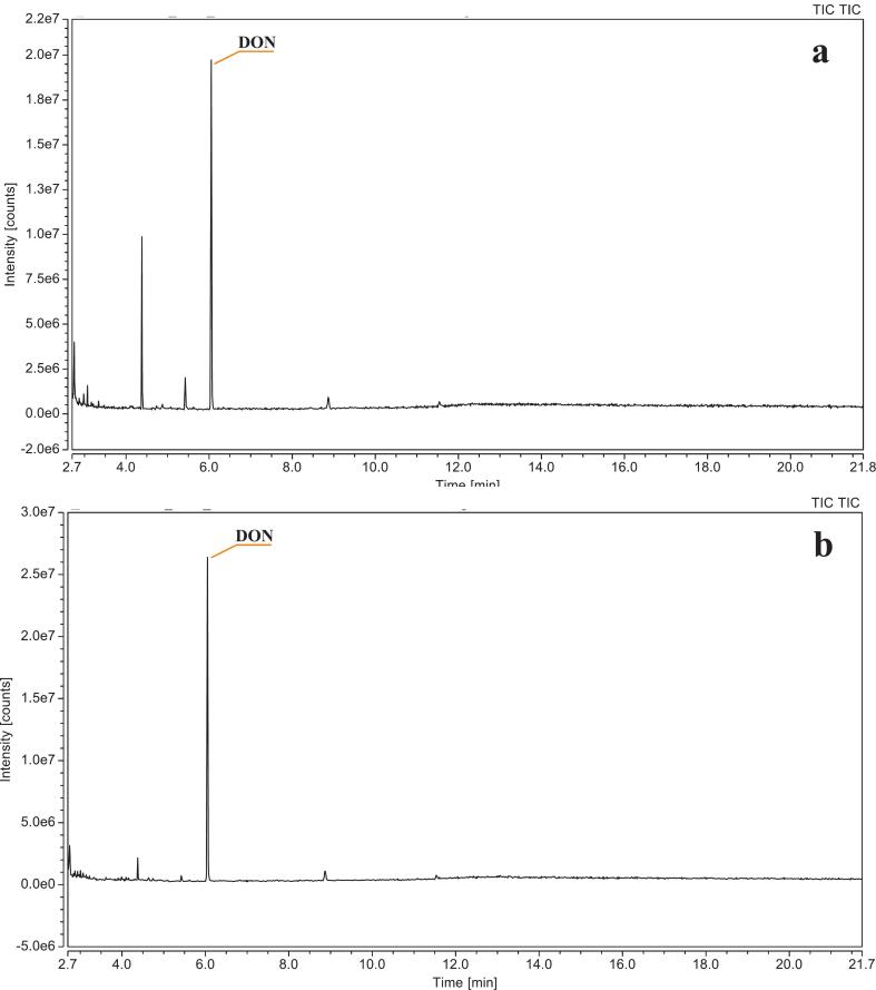 GC-MS result: The plot shows gas chromatogram analysis in total ion chromatogram mode of DON at two different derivatization temperature