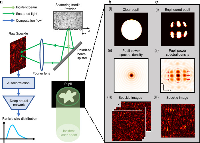 Image PSD result: The plot shows laser speckle apparatus with the pupil engineering. a Schematic representation of our speckle granularity probe