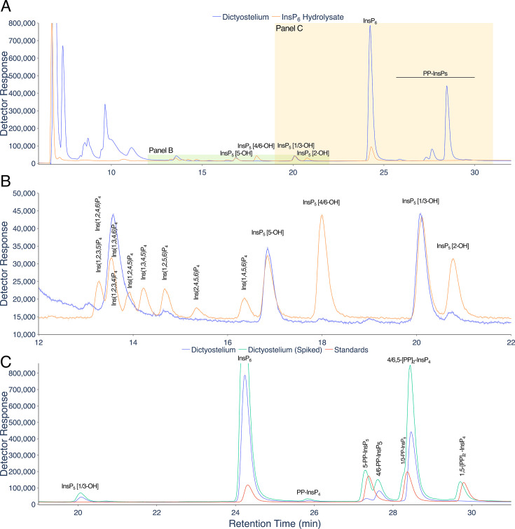 LC-ICP-MS result: The plot shows separation of PP-InsPs and InsPs in Dictyostelium by LC-ICP-MS