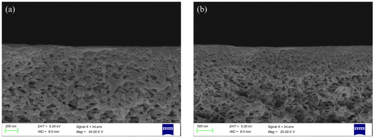 MMT result: The image shows two scanning electron microscope images of the cross-section of the PES-CS-MMT composite membrane at two different
