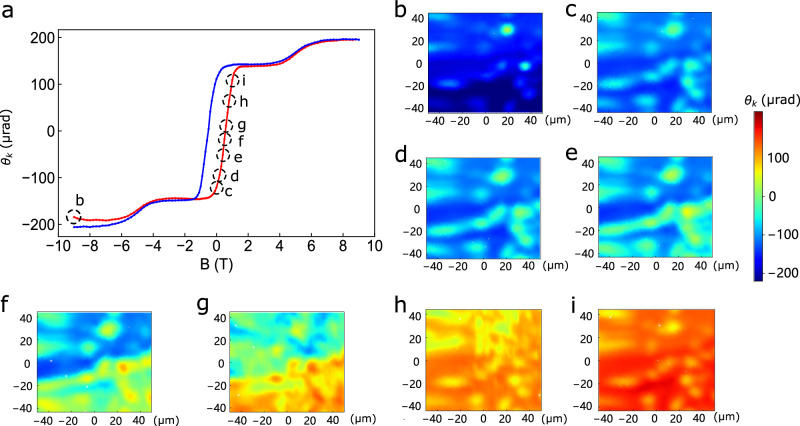 MOKE result: The result shows chirality domain reversal imaged at 10 K. a MOKE hysteresis measured at a single spot
