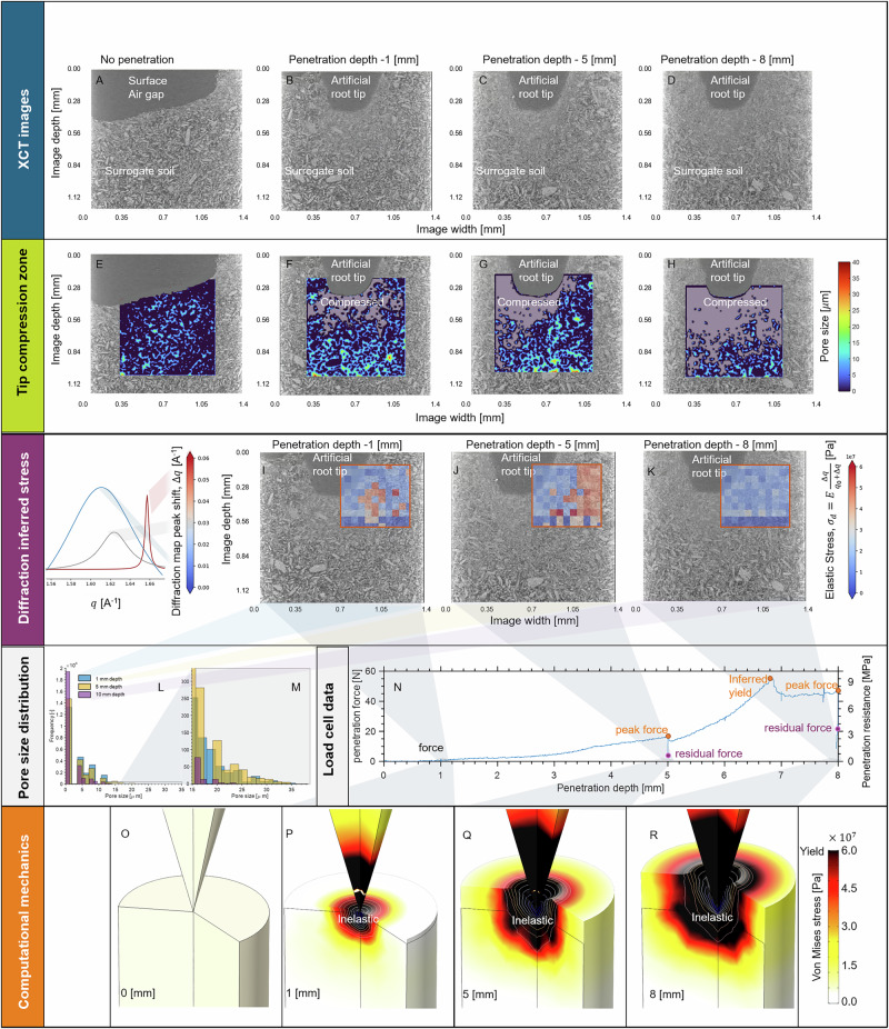 Penetration result: The plot shows the coupled X-ray computed tomography imaging and X-ray diffraction during root analog penetration