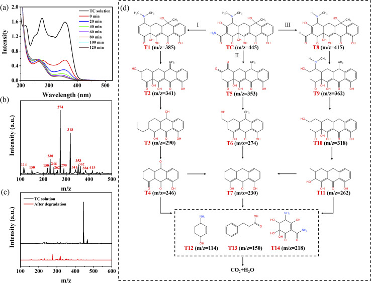 Photocatalysis result: The plot shows uV-vis absorption spectra of TC solution during photocatalytic degradation