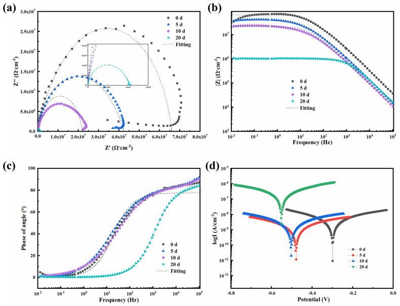 Salt Spray result: The plot shows nyquist plots, Bode modulus plots, Bode phase diagrams, and kinetic potential polarization curves for 0.5-BNNS/WEP composite