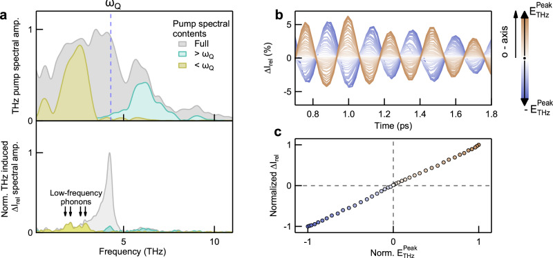 SHG result: The plot shows phonon-induced SH intensity modulation dynamics of β-BaB 2 O 4