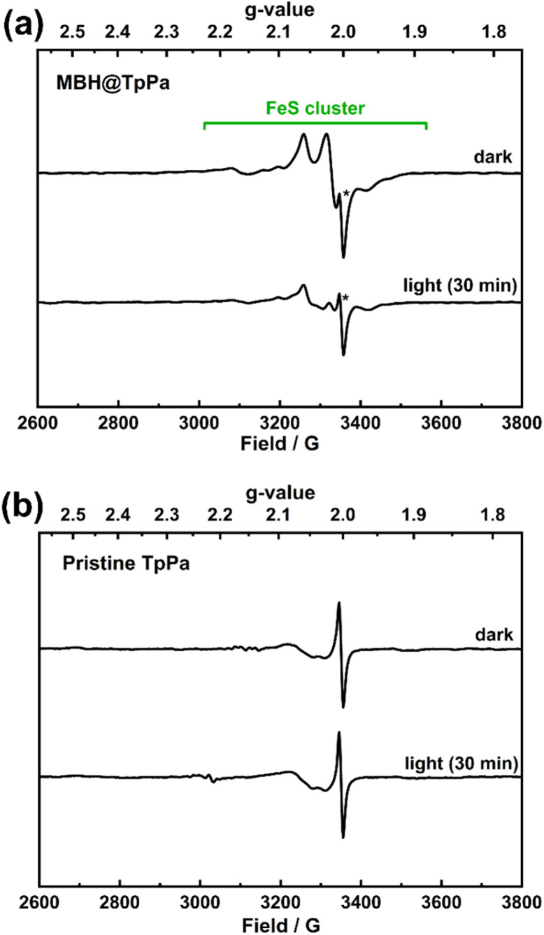 COF result: The plot shows ePR spectra of MBH@TpPa composite recorded at 20 K
