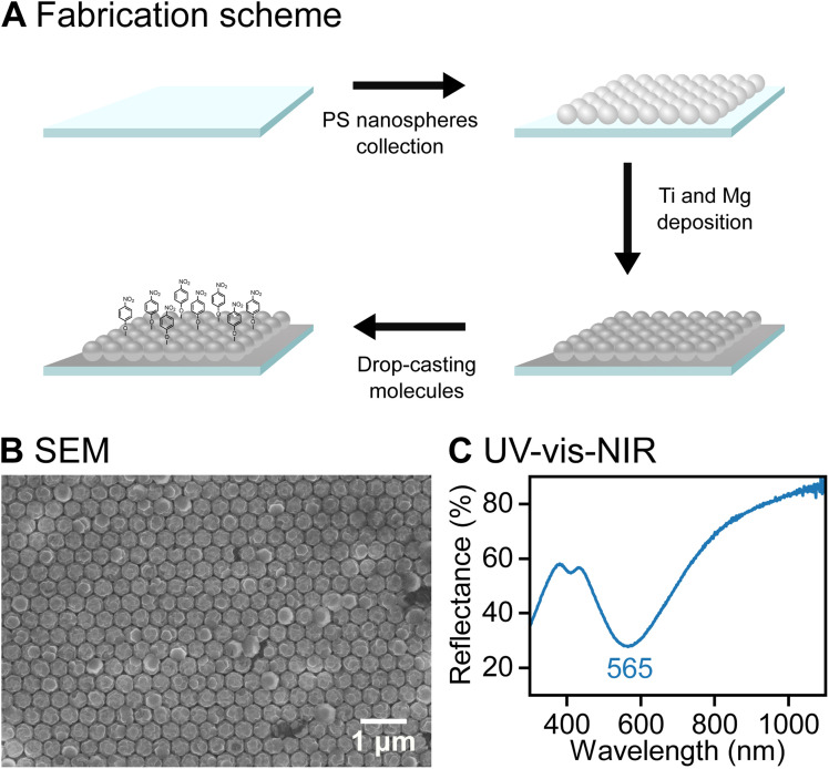 UV-Vis-NIR Spectroscopy result: The image shows plasmonic Mg FONs. Schematic of Mg FON fabrication and functionalisation with Raman reporter molecules