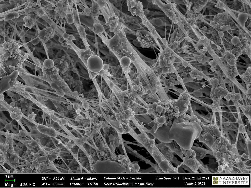 SEM micrograph of airborne particulate matter collected on a PTFE filter