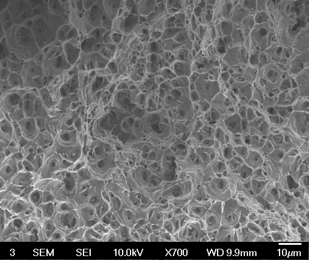 SEM micrograph of a ductile fracture surface in 6061-T6 aluminium