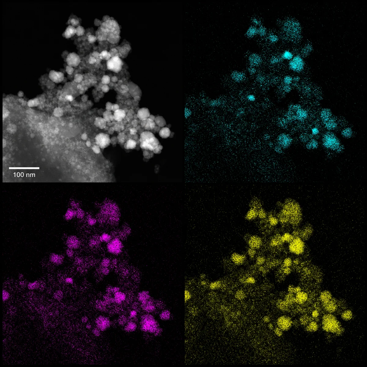 Illustrative simulated HAADF-STEM image and elemental map