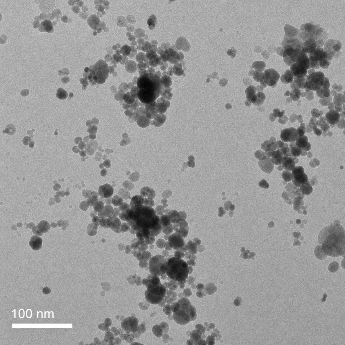 Illustrative simulated TEM image of nanoparticle morphology