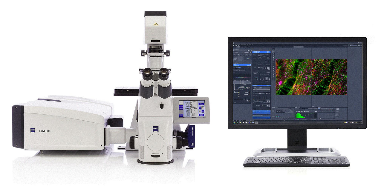Electron Backscatter Diffraction (EBSD) Analysis equipment image for TESTDOG microscopy and imaging support