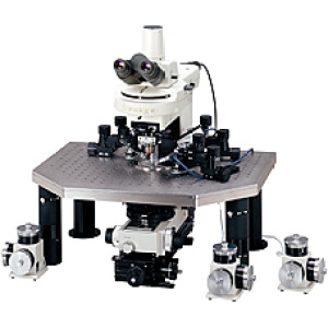 Optical Microscopy (OM) Analysis equipment image for TESTDOG microscopy and imaging support